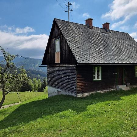 Zankl Villa Lavamünd Exteriör bild