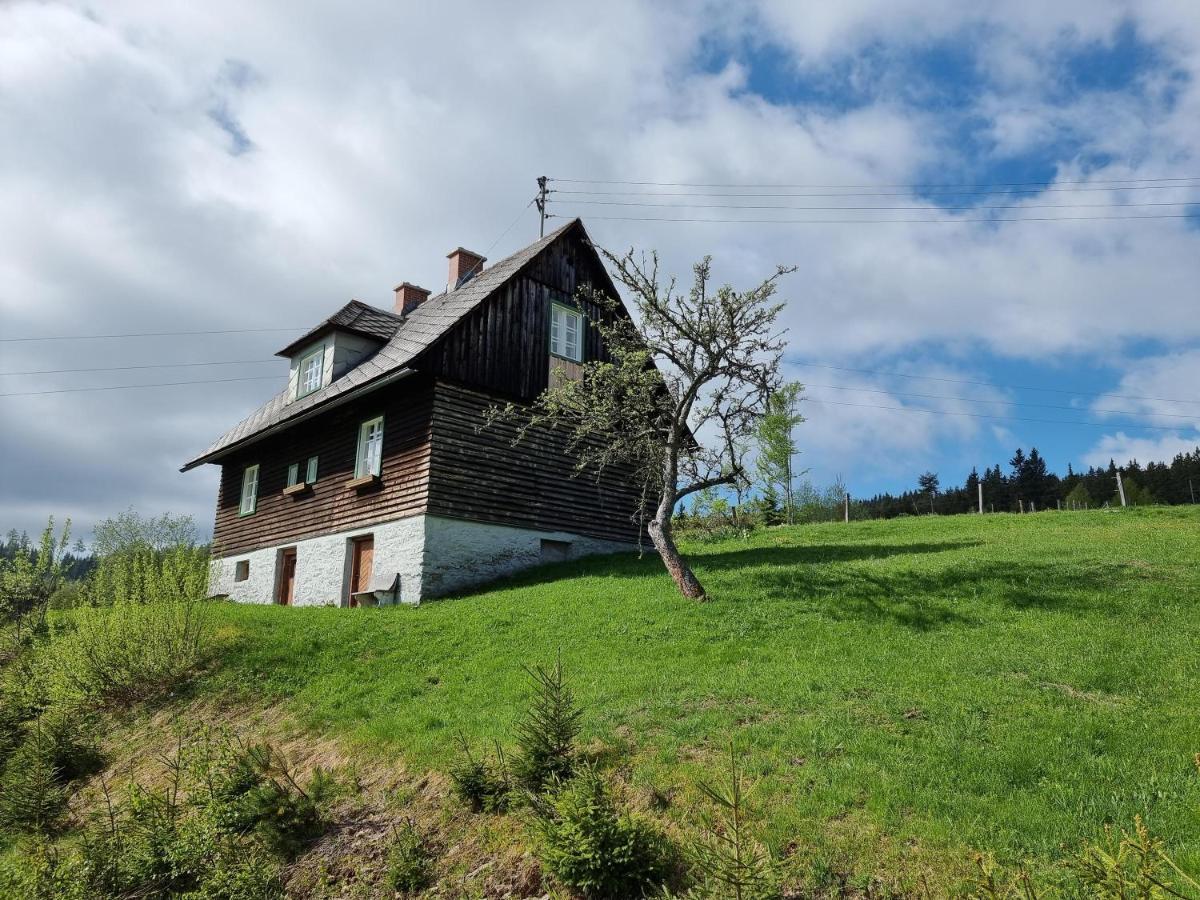 Zankl Villa Lavamünd Exteriör bild