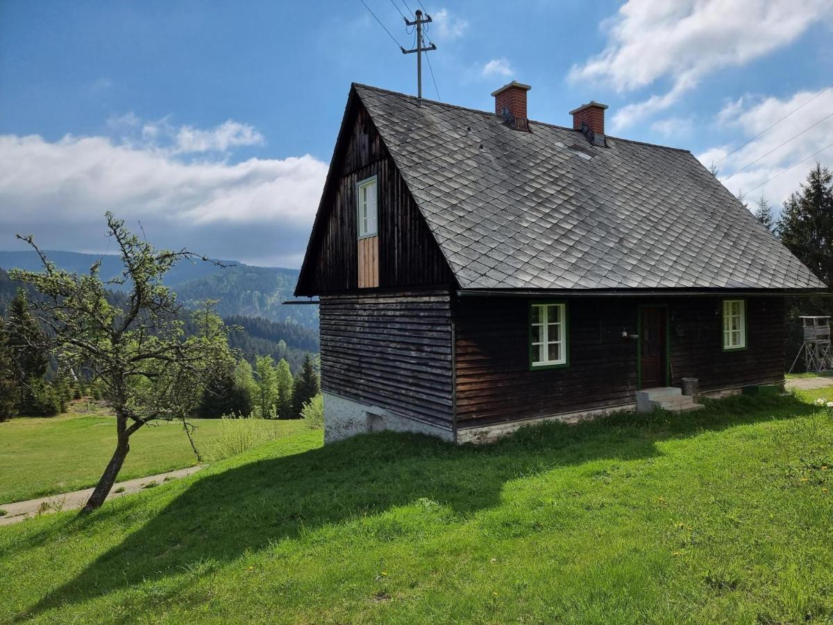 Zankl Villa Lavamünd Exteriör bild