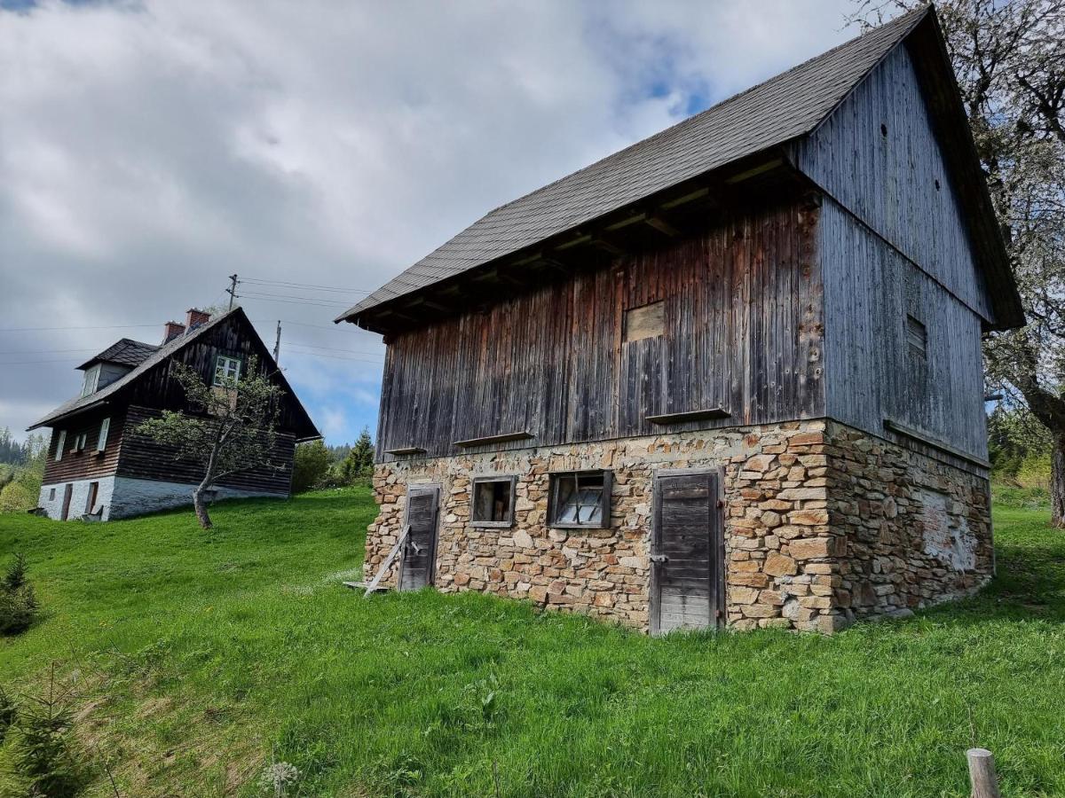 Zankl Villa Lavamünd Exteriör bild